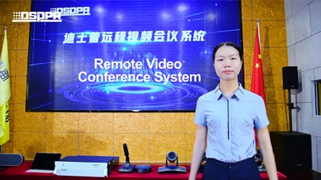 Sistema di riunione Video remoto HD8000